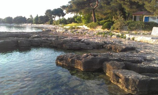 Apartment Ornela Umag Eksteriør bilde